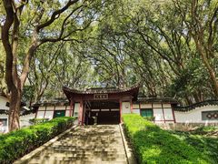 -上海佘山国家森林公园天马山园