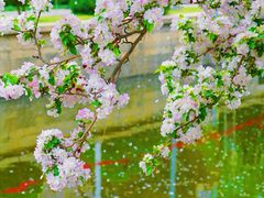 -元大都城垣遗址公园