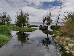 -洱海月湿地公园