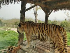 -西安秦岭野生动物园