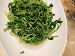 鸡毛菜-锦府盐帮·侯宅(五棵松万达店)