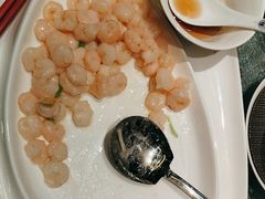 -新雅粤菜馆(南京东路店)