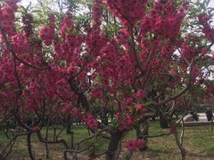 -玲珑塔公园