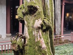 -太平天国侍王府