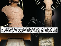 -四川大学博物馆