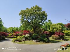 -东平国家森林公园
