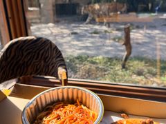 -上海野生动物园老虎餐厅