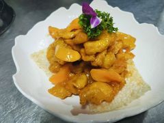 -俭寨大盘芦花土鸡·小公鸡·烧烤新疆菜(云通店)