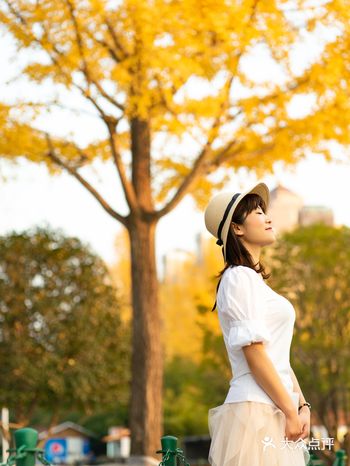 大宁郁金香公园不仅有郁金香，还有最美枫叶和夕阳~