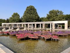 -石家庄市植物园