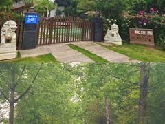 -三圣花乡旅游区