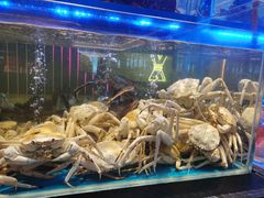 -南海渔村(珠江新城店)