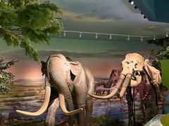 -湖南省地质博物馆