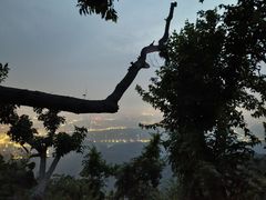 -紫金山山顶公园