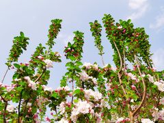 -月坛公园