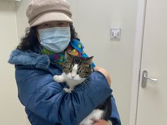 -美联众合动物医院·24h京西诊疗中心