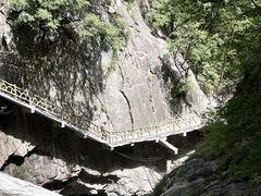 -洛阳白云山景区