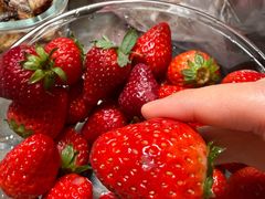 -乐乐鲜果水果超市(河北店)