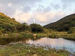 -大姆山草场