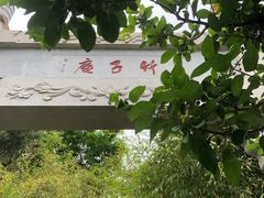 -竹子庵公园