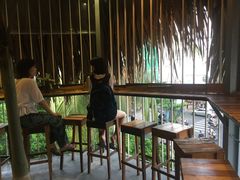 -Rainforest