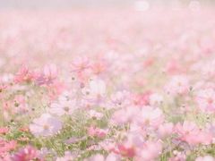 -杨浦温水游泳池