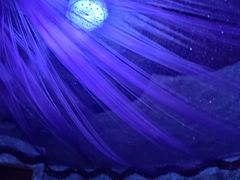 -水晶之星洗浴温泉汗蒸