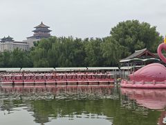 -莲花池公园