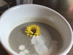 -百好乐宠物友好餐厅(朝外大街店)