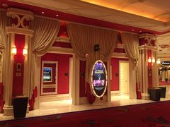 -拉斯维加斯永利酒店