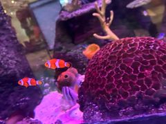 -沈阳海洋探索中心