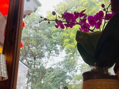-花木兰·咖啡·茶铺