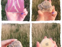 -永旺黄岛购物中心