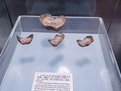 -衢州市博物馆