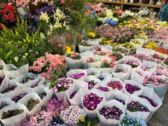 -双季花艺园艺市场(浦东店)