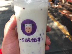 -一只酸奶牛(八一路店)