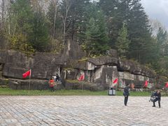 -五营红松林海景区