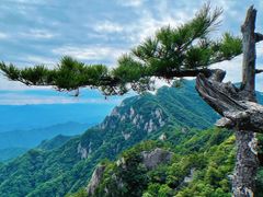 -王顺山国家森林公园