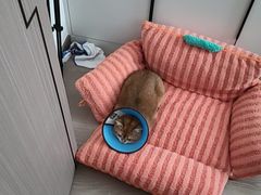 -联合动物医院(光谷诊疗中心)