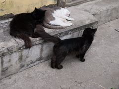 -俄罗斯风情小镇