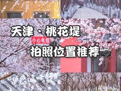 -桃花堤公园