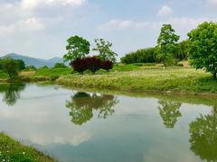 -良渚古城遗址公园