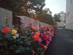 -北京联合大学(北四环校区)