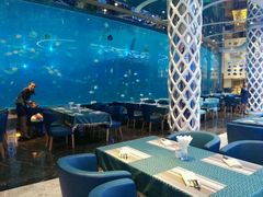 -瑞德姆美人鱼海底演艺主题餐厅(亚龙湾店)