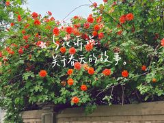 -睦南公园