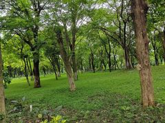 -海珠湖公园