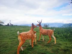 -硗碛藏寨·神木垒景区