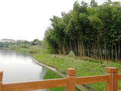 -苏州卫生职业技术学院(石湖校区)