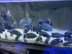 -蓬莱欧乐堡海洋极地世界