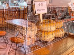 -Catch Bagel(芳草地店)